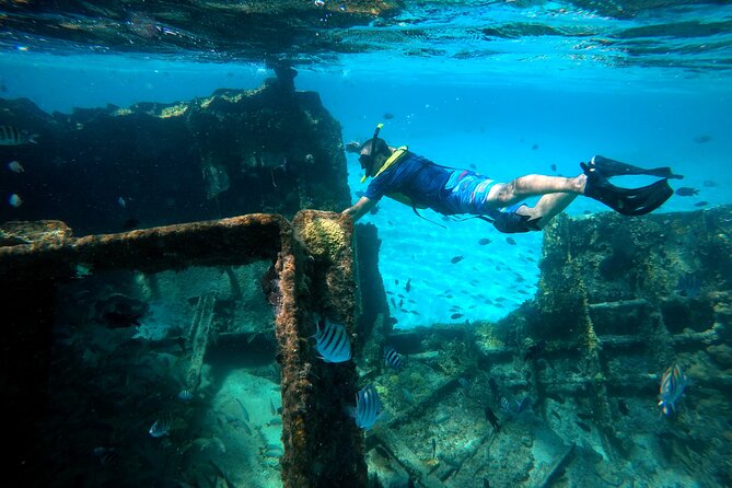 Cancun Snorkeling Tour: Swim with Turtles, Reef, Underwater Museum and Shipwreck - Turtle habitat: the strongest reason to book