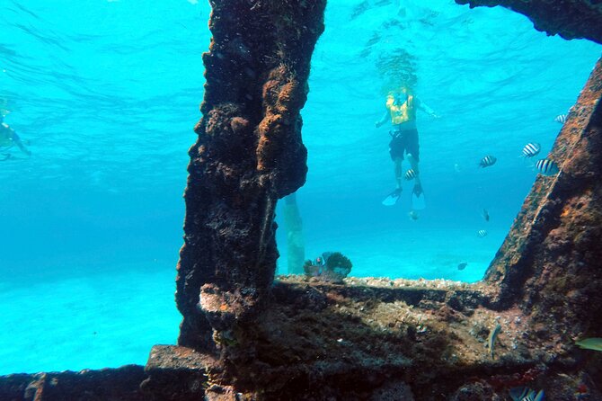 Cancun Snorkeling Tour: Swim with Turtles, Reef, Underwater Museum and Shipwreck - Weather, cancellations, and the practical fine print