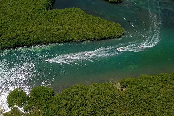 Cancun speedboat and snorkel tour: shared speedboat - The mangrove canals of Nichupte Lagoon