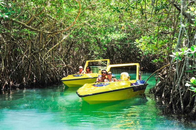 Cancun: Speedboat Mangrove Jungle & Snorkel Tour - From the Hotel Zone marina into Nichupte Lagoon