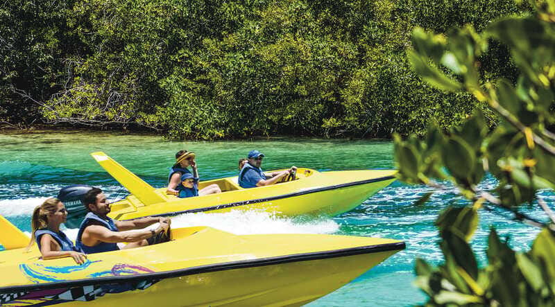 Cancun: Speedboat Mangrove Jungle & Snorkel Tour - What the $70 price really covers
