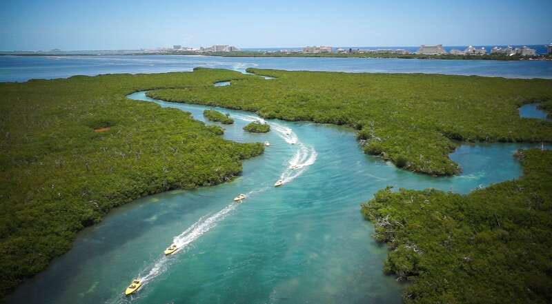Cancun: Speedboat Mangrove Jungle & Snorkel Tour - Who will get the most from this outing