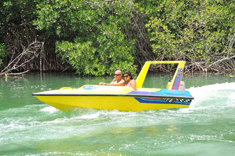 Cancun: Speedboat Mangrove Jungle & Snorkel Tour - The mangrove channels and their small wildlife