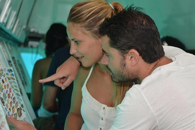 Cancun Submarine and Optional Snorkeling Tour - Who will enjoy this, and who should think twice