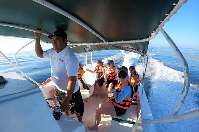 Cancun Whale Shark Experience with Snorkel & Transportation - Breakfast, ceviche, and what you actually get