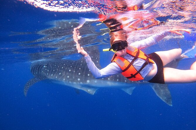Cancun Whale Shark Experience with Snorkel & Transportation - Two water entries near the whale sharks