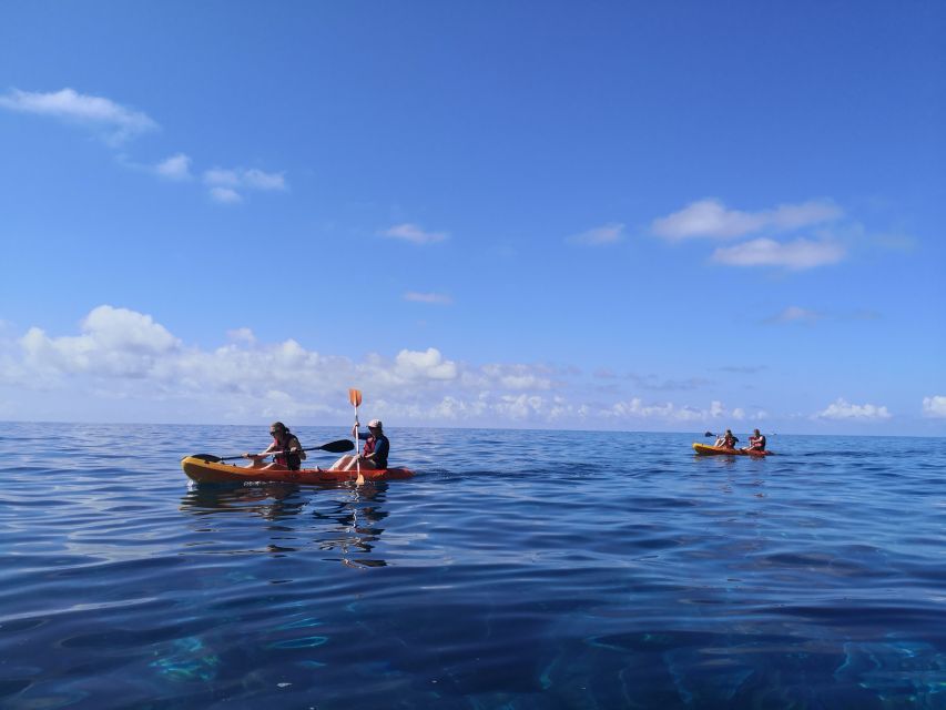 Caniço, Madeira: Marine Reserve Kayak & Snorkelling Tour - Should you book the Garajau kayak and snorkeling tour?