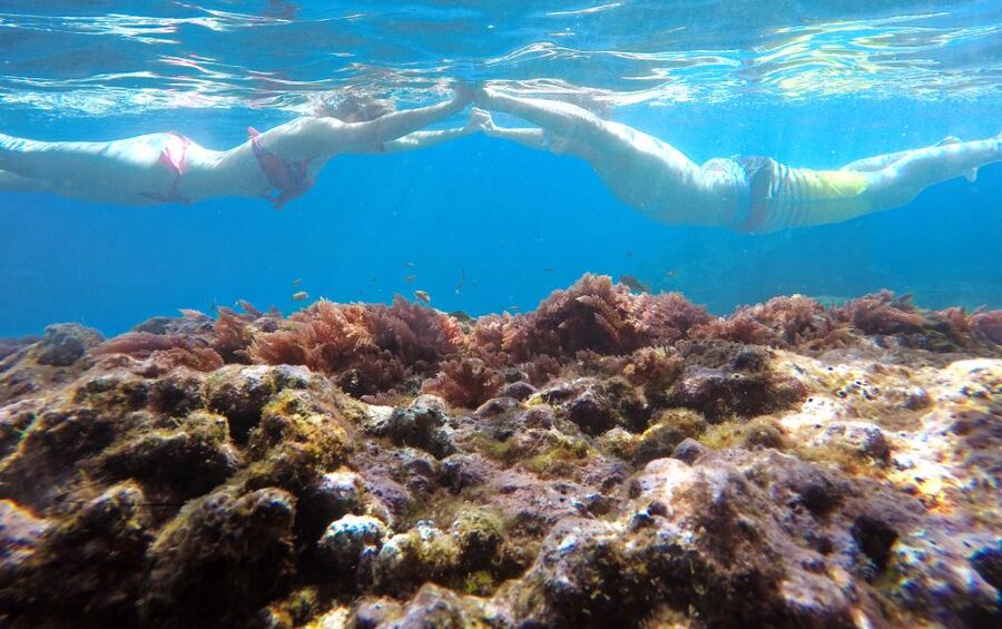 Caniço, Madeira: Marine Reserve Kayak & Snorkelling Tour - Kayaking under cliffs, with weather in charge