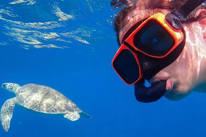 CAPTAIN ALAN'S 4hr -3 Islands-snorkeling-turtles-beach ADVENTURE - A fast boat route with three very different stops