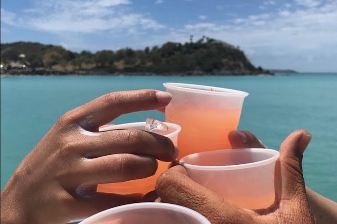 CAPTAIN ALAN'S 4hr -3 Islands-snorkeling-turtles-beach ADVENTURE - Pinel Island: shallow water and iguanas