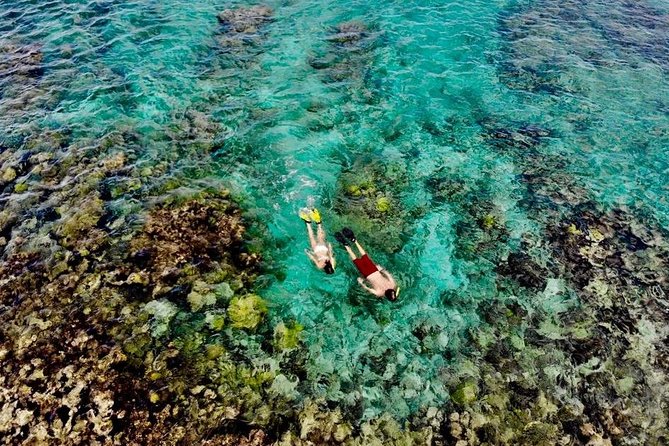 Captain Bob Speed Boat, Snorkeling, Beach Tour & Lunch St Maarten - Five things to know before you book