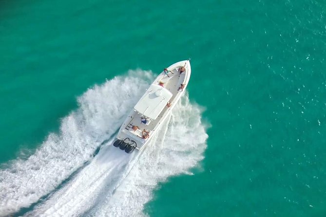 Captain Bob Speed Boat, Snorkeling, Beach Tour & Lunch St Maarten - Creole Rock and the reef fish