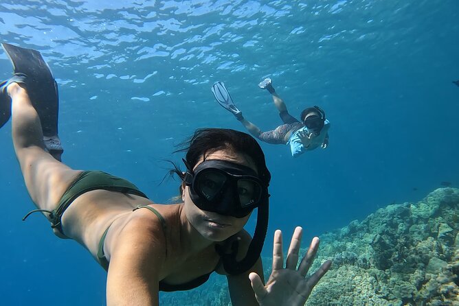 Captain Cook Reef Snorkeling of Kealakekua Bay - Practical timing and cancellation advice
