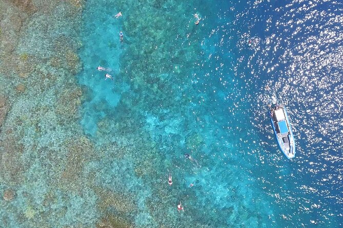 Captain Cook Snorkel Tour with Sea Caves and Lava Tubes - Wildlife: exciting possibilities, no guarantees
