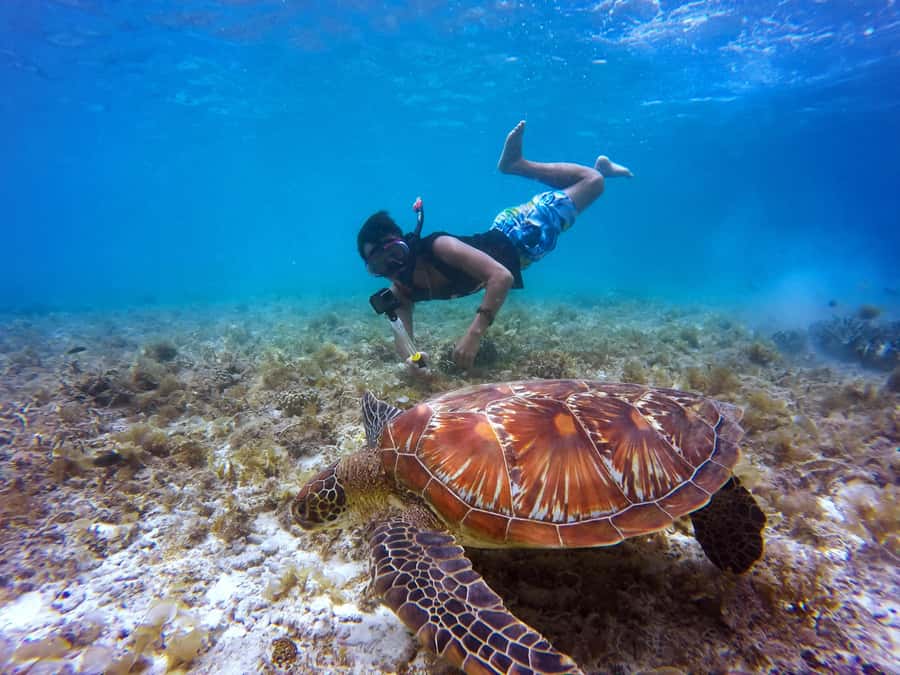 Cartagena: 5 Islands Boat Tour with Lunch, Snorkeling, & Bar - Bocachica and the view from the bay