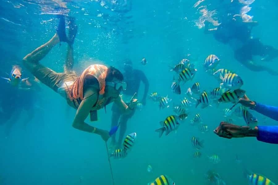 Cartagena: Raccoon Island Snorkel, Mangrove, Photos & Lunch - Key points to know before booking
