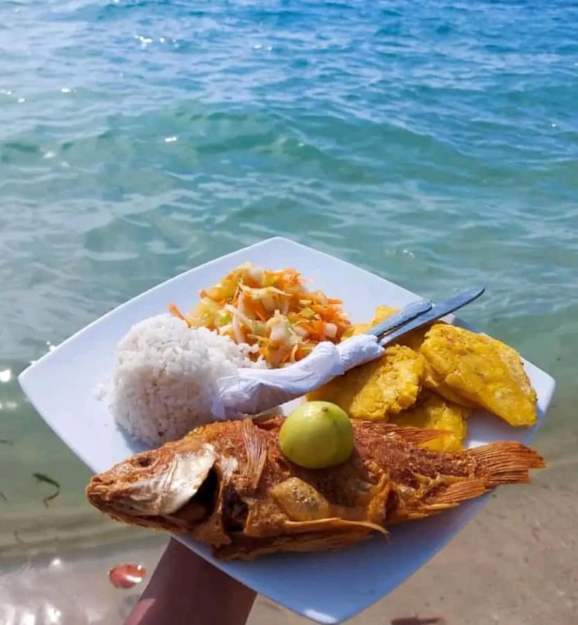 Cartagena: Raccoon Island Snorkel, Mangrove, Photos & Lunch - Accessibility and practical comfort