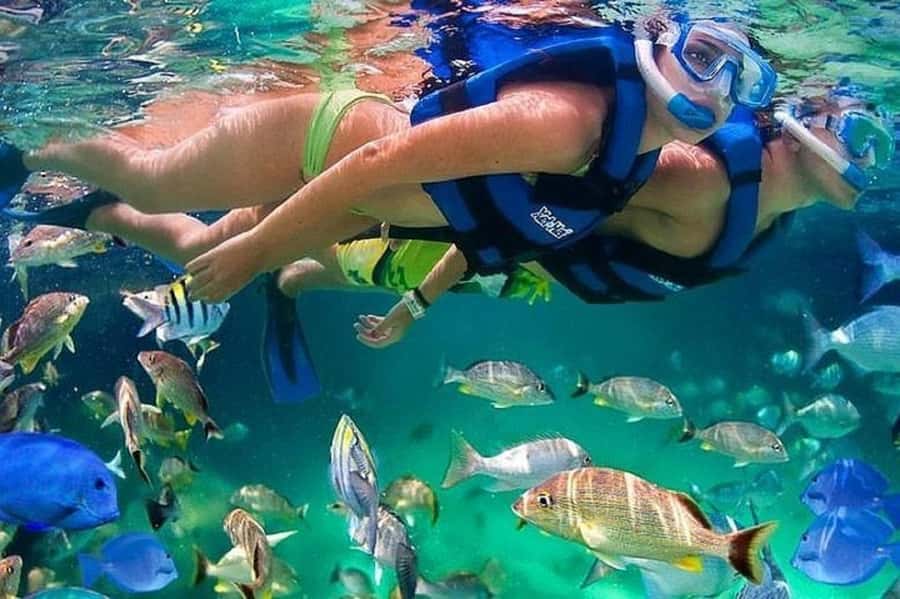 Cartagena: Raccoon Island Snorkel, Mangrove, Photos & Lunch - First hours on Barú Island