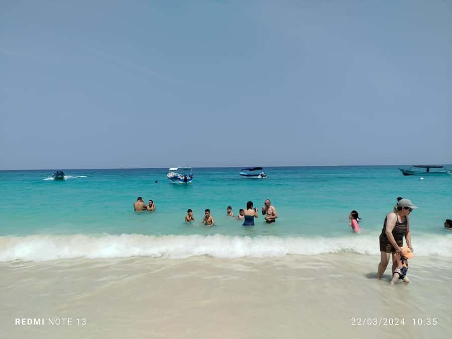 Cartagena: Raccoon Island Snorkel, Mangrove, Photos & Lunch - Feeding the Barú raccoons