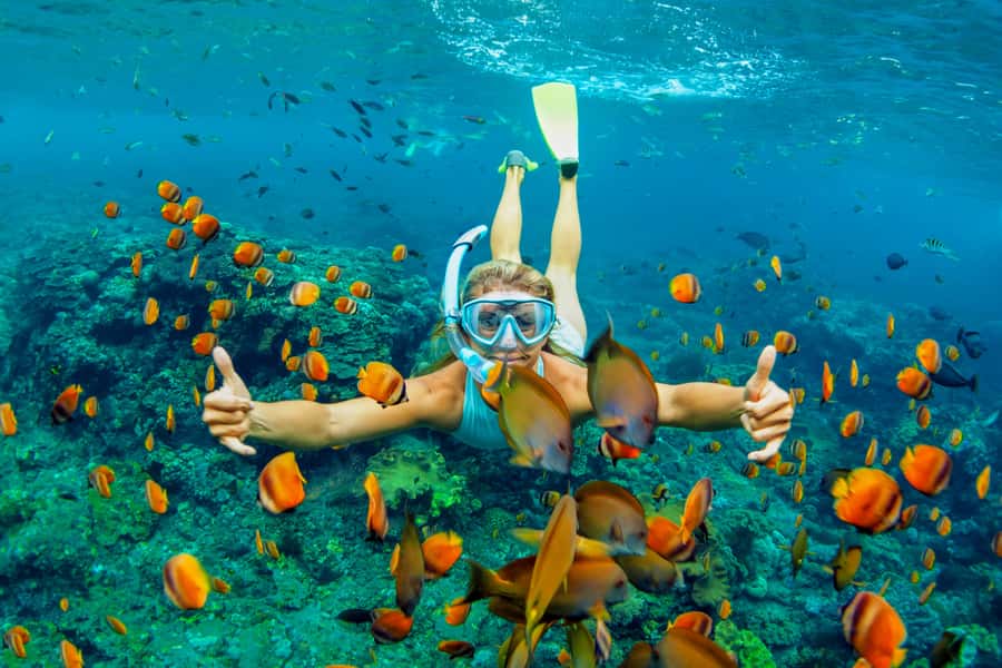 Cartagena: Snorkel, Mangroves and Playa Blanca Tour - Why this Baru day is more than a beach transfer