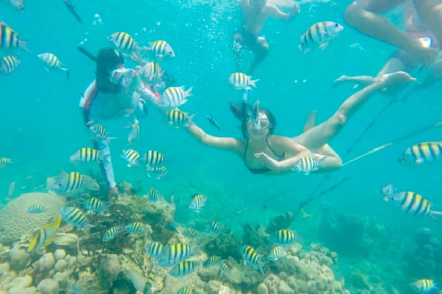 Cartagena: Snorkel, Mangroves and Playa Blanca Tour - Reaching Baru and boarding the small boat