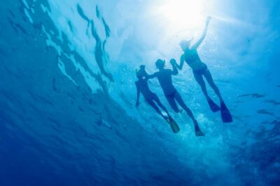 Cartagena: Snorkel, Mangroves and Playa Blanca Tour