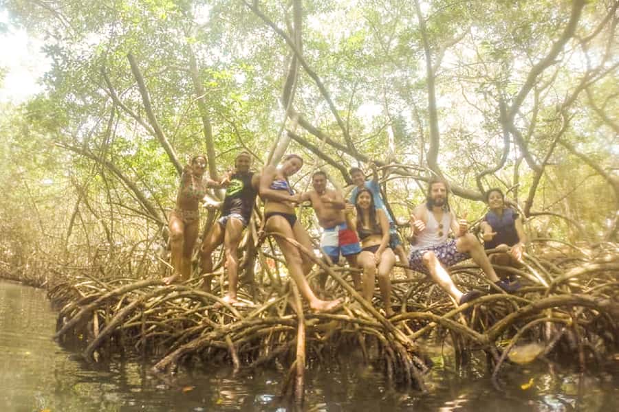 Cartagena: Snorkel, Mangroves and Playa Blanca Tour - Snorkeling near coral and fish