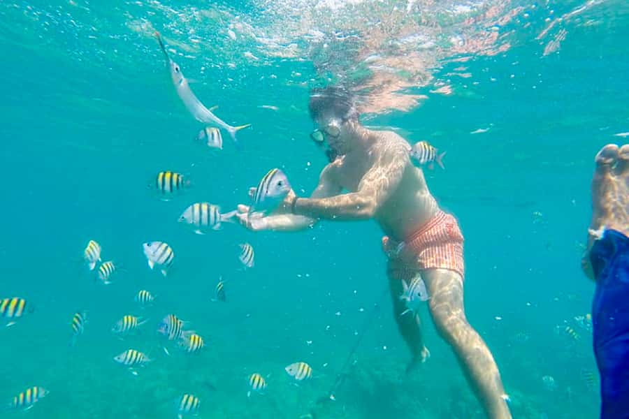 Cartagena: Snorkel, Mangroves and Playa Blanca Tour - Lunch at Playa Blanca