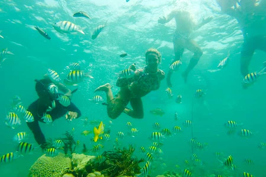 Cartagena: Snorkel, Mangroves and Playa Blanca Tour - Beach time at Playa Blanca