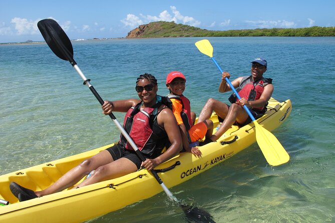 Cas Cay - Kayak Hike and Snorkel Adventure - Snorkeling in a sheltered marine nursery