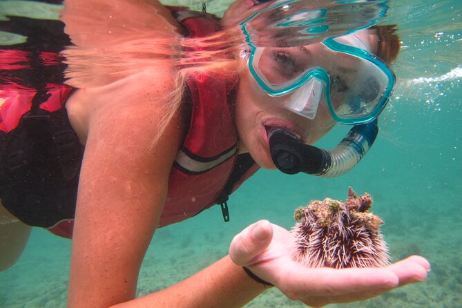 Cas Cay - Kayak Hike and Snorkel Adventure - What the $99 price really covers