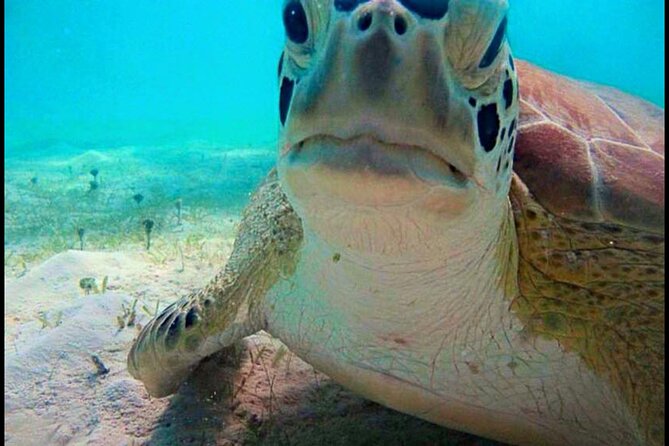 Cas Cay - Kayak Hike and Snorkel Adventure - The guides make the difference