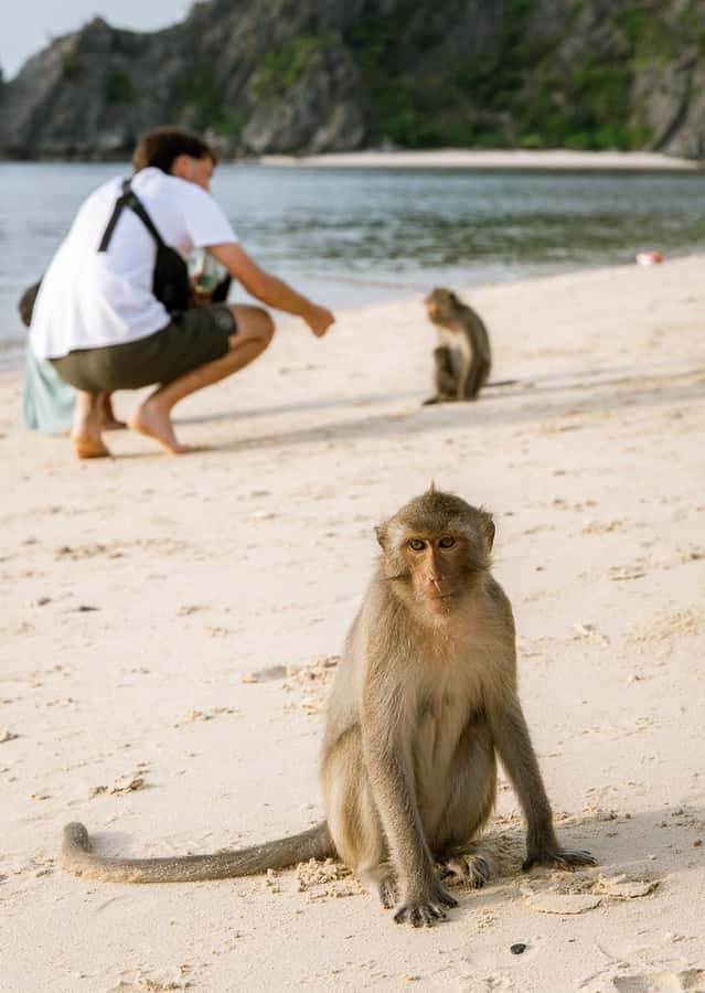 Cat Ba: Lan Ha & Ha Long Bay Kayak & Snorkel Boat Tour - Monkey Island and the short, rough climb