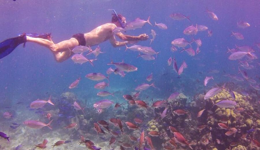 Catalina Island snorkeling Dominican Republic - A second coral reef near Cotubanama National Park
