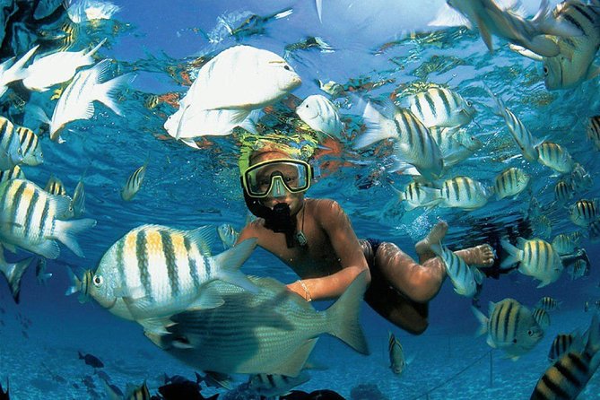 Catamaran adventure to Isla Mujeres with Snorkel,Buffet,Open Bar and Beach Club - A full day from Cancun to Isla Mujeres