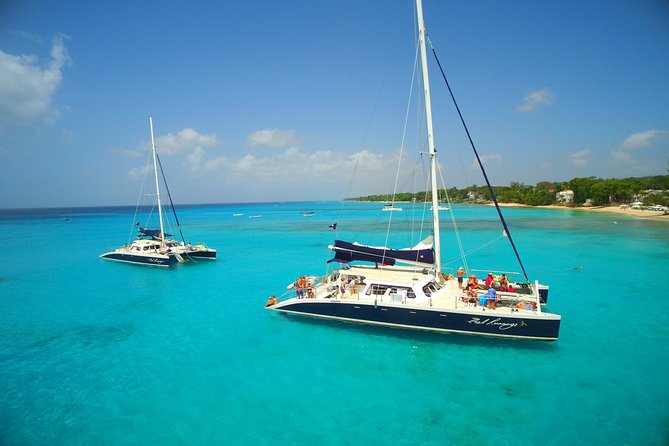 Catamaran and Snorkeling Cruise At Carlisle Bay - Key points to know before booking