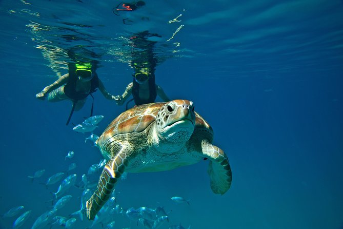 Catamaran and Snorkeling Cruise At Carlisle Bay - The Carlisle Bay route in about five hours