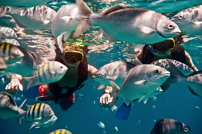Catamaran and Snorkeling Cruise At Carlisle Bay - A Bajan buffet and open bar at sea