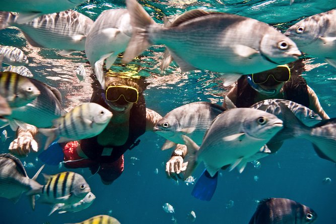 Catamaran and Snorkeling Cruise At Carlisle Bay - Pickup and booking concerns