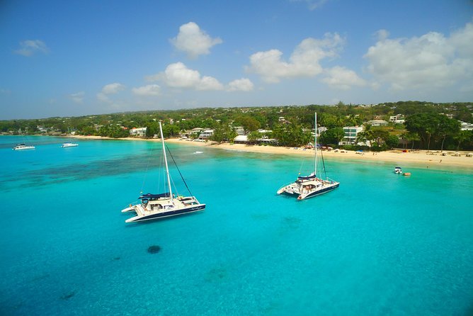 Catamaran and Snorkeling Cruise At Carlisle Bay - Swimming with turtles in Carlisle Bay