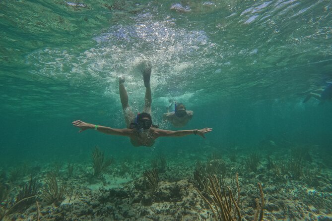 Catamaran Cruise in Riviera Maya With Snorkeling & Beach Club - Who will enjoy this cruise most