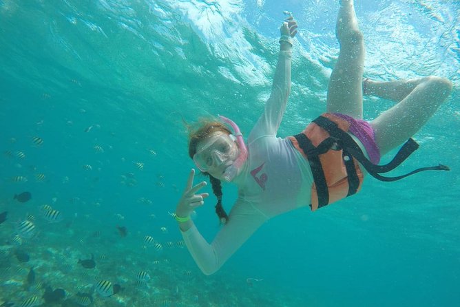 Catamaran Group Sightseeing, Snorkeling Tour Isla Mujeres - Who should choose this Isla Mujeres outing