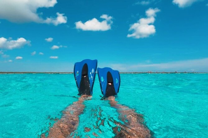 Catamaran in Cozumel with snorkeling at El Cielo and open Bar - El Cielo and the starfish on the sandy bottom