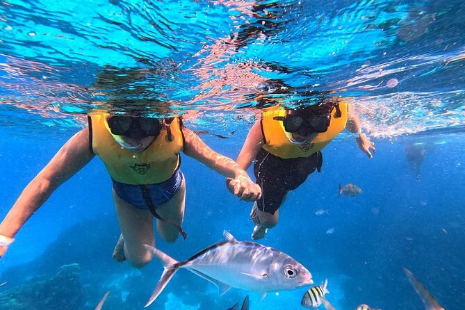 Catamaran in Cozumel with snorkeling at El Cielo and open Bar - Lunch, margaritas, and the party-boat mood