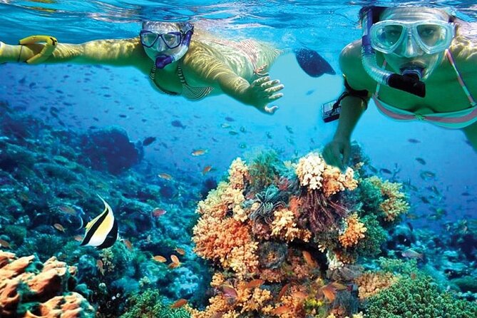 Catamaran Sailing to Isla Mujeres with Snorkeling, Lunch & Open Bar included - The real price and the upgrade question