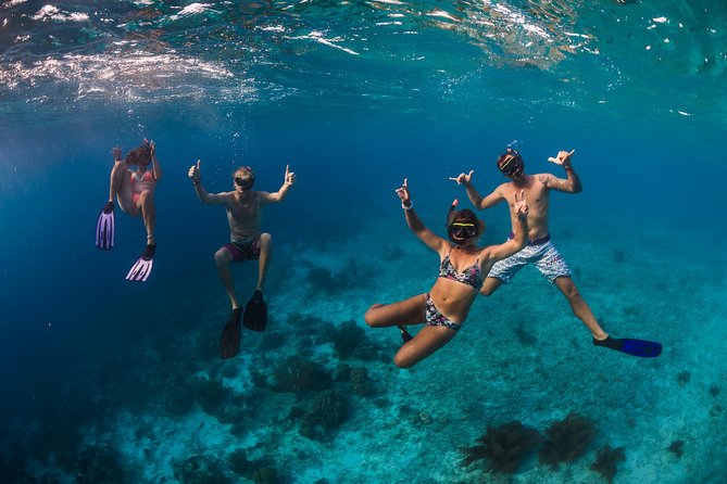 Catamaran Snorkel & BBQ Sail (cruise friendly) - What the premium open bar includes