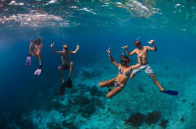 Catamaran Snorkel & BBQ Sail (cruise friendly) - Should you book the Catamaran Snorkel and BBQ Sail?