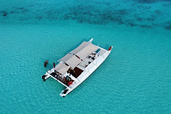 Catamaran Snorkeling to El Cielo and The Money Bar Beach Club - Why this Cozumel catamaran trip works so well