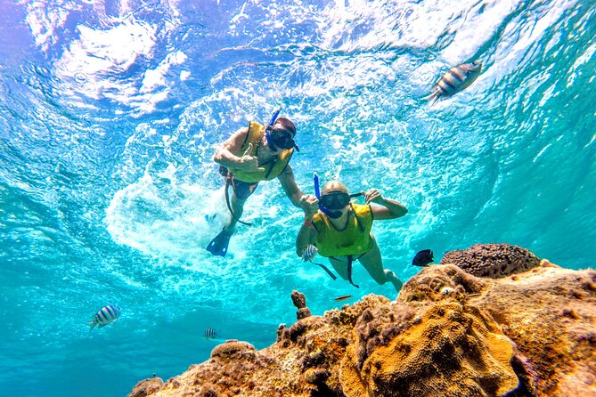 Catamaran Snorkeling to El Cielo and The Money Bar Beach Club - What the boat ride is really like