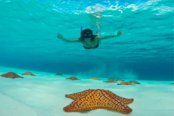 Catamaran Snorkeling to El Cielo and The Money Bar Beach Club - Should you book the El Cielo catamaran?
